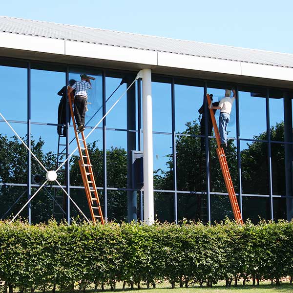 Two window cleaners at work